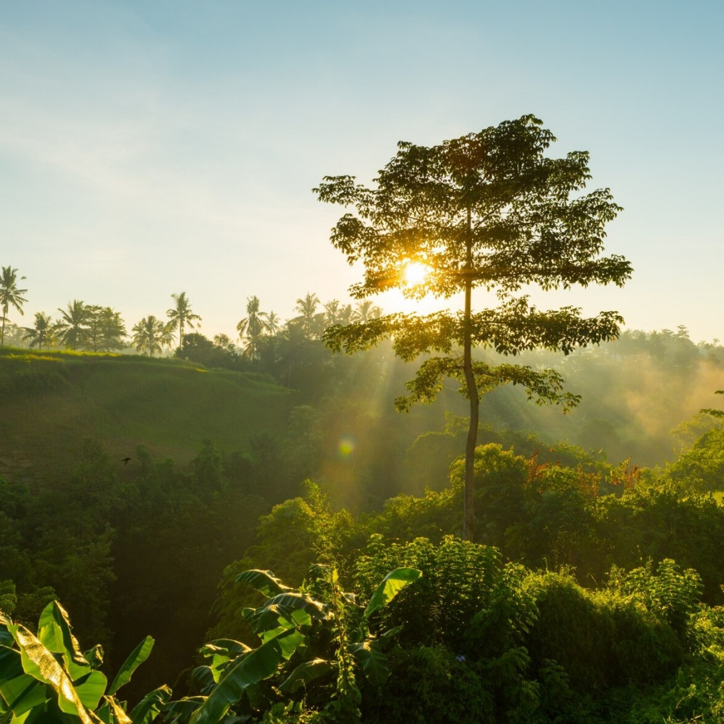 30 kata-kata pemandangan alam bahasa Inggris dan artinya, bikin caption di media sosial makin keren