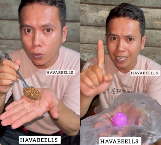 Trik mudah biar tikus minggat dari rumah tanpa pakai racun, cukup tambah satu bahan dapur