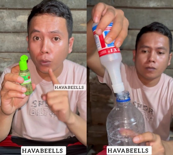 Trik mudah biar tikus minggat dari rumah tanpa pakai racun, cukup tambah satu bahan dapur