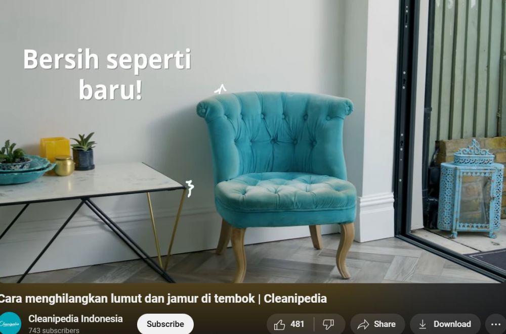 Cara membersihkan lumut dan jamur di tembok tanpa dicat ulang, cukup semprotkan 1 bahan sederhana ini