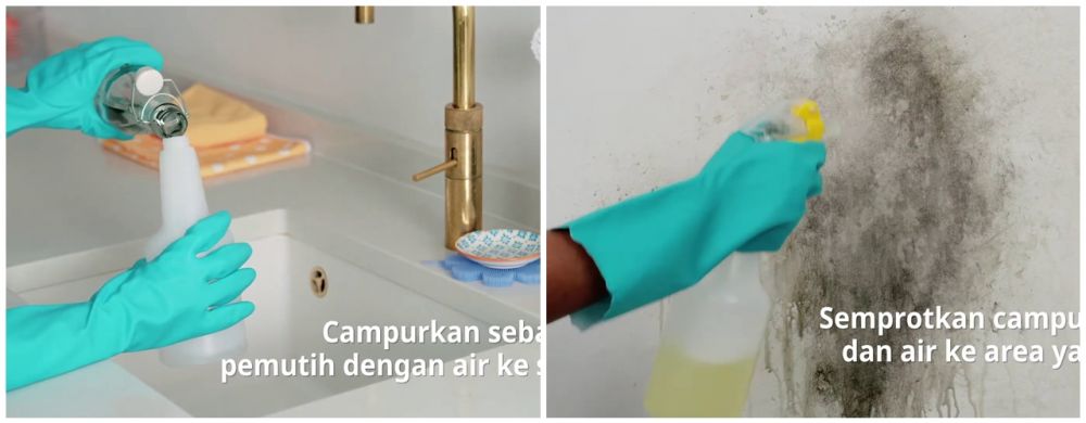 Cara membersihkan lumut dan jamur di tembok tanpa dicat ulang, cukup semprotkan 1 bahan sederhana ini