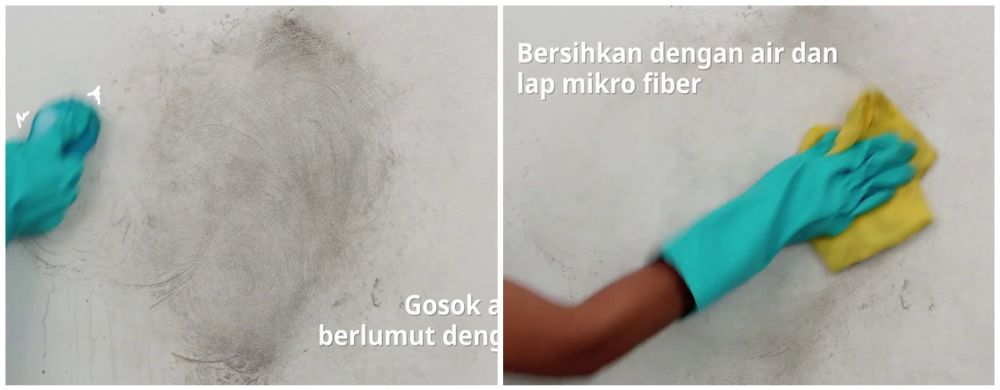 Cara membersihkan lumut dan jamur di tembok tanpa dicat ulang, cukup semprotkan 1 bahan sederhana ini
