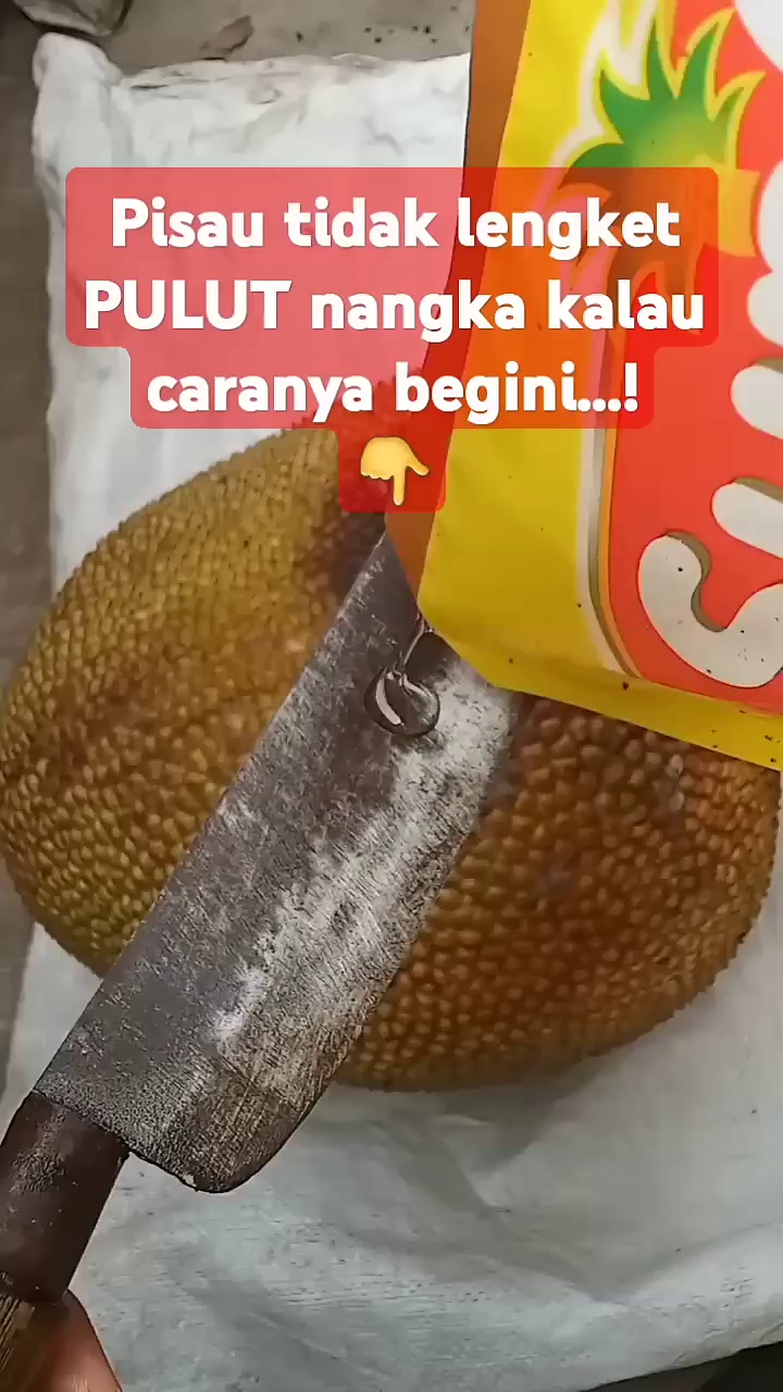 Bisa bikin daging buahnya menghitam, ini cara mudah mengupas nangka agar getah tak menempel