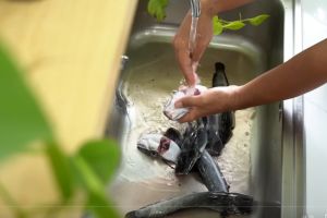 Cara hilangkan lendir ikan lele pakai 3 bahan dapur berbeda, mana lebih bersih dan tidak bau amis?
