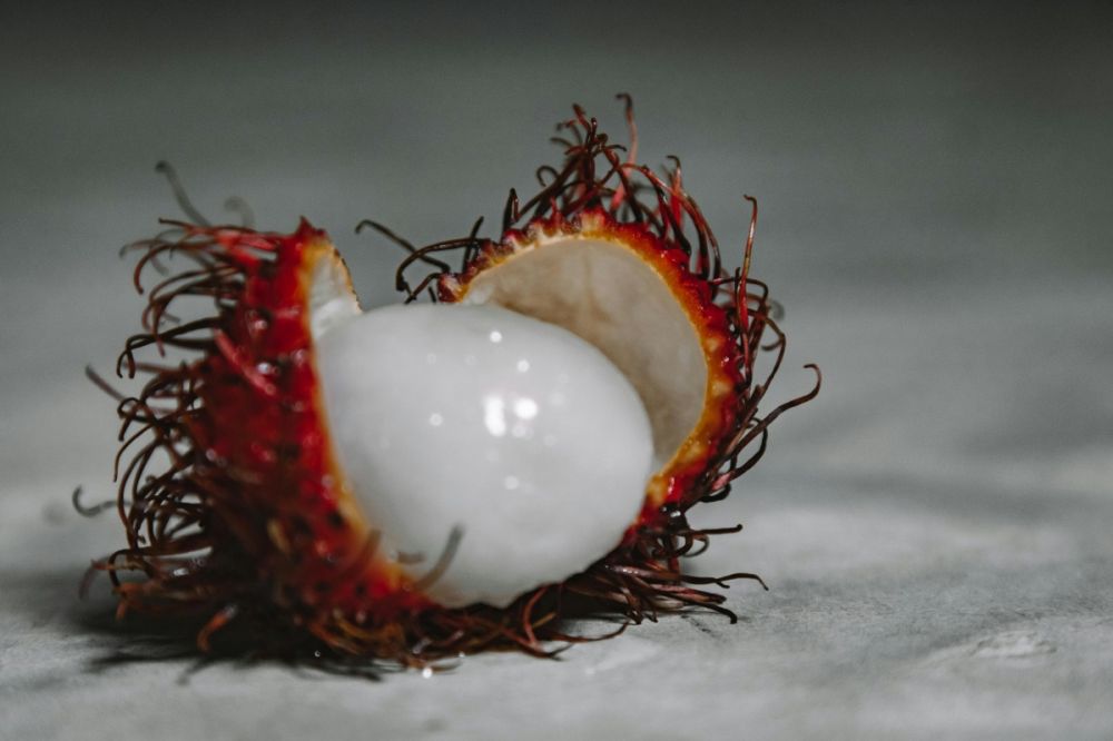 Rahasia pedagang! Cara mudah pilih rambutan manis dan gampang lepas dari biji, cukup lihat kulitnya