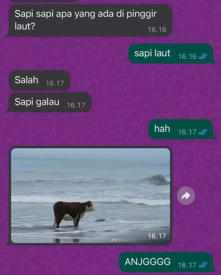 Dibaikin malah mancing emosi, 11 chat lucu sama teman ini bikin geregetan abis