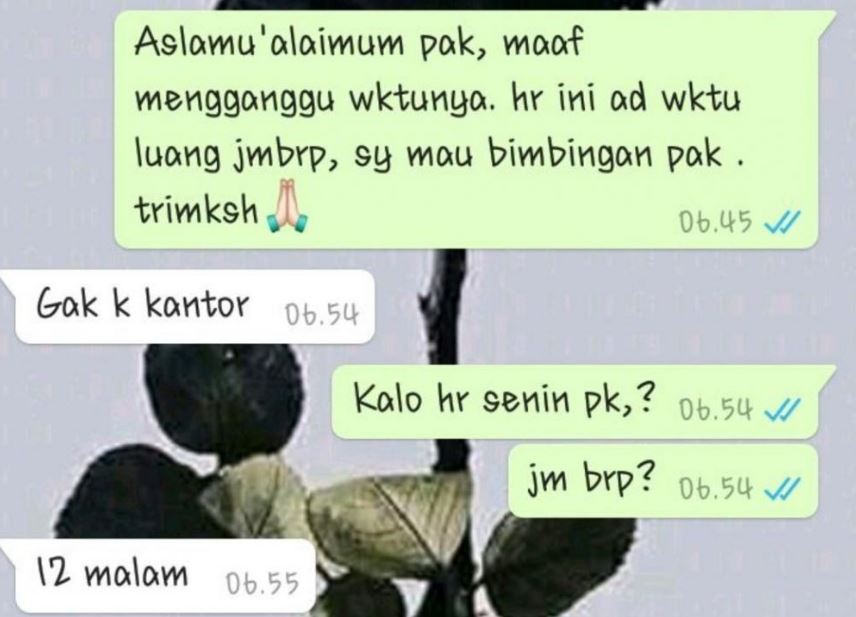 Bukti usaha mahasiswa tua pengin cepat lulus, 11 chat lucunya dengan dosen pembimbing bikin ngenes
