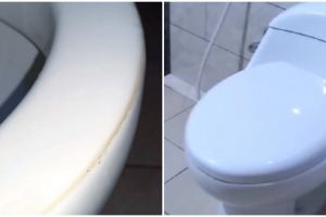 Trik agar kloset kuning jadi putih bersih tak bikin jijik, cuma pakai 1 bahan sederhana
