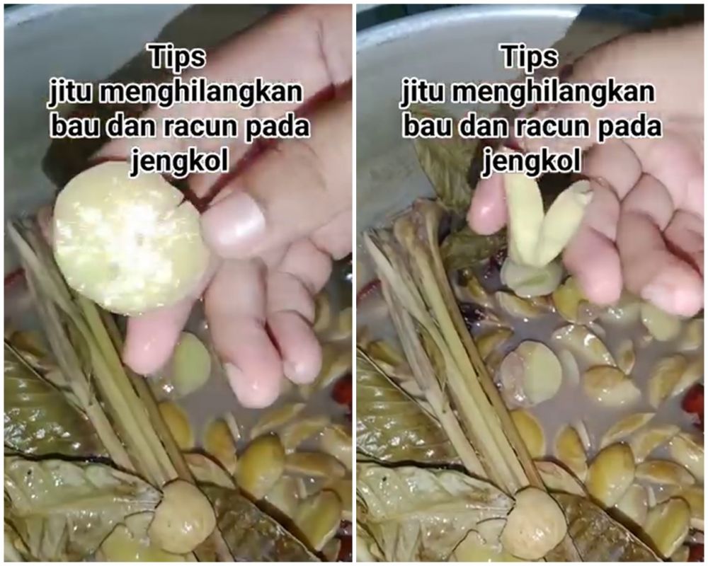 Trik jitu menghilangkan bau tak sedap dan racun pada jengkol, praktis tanpa direndam dulu