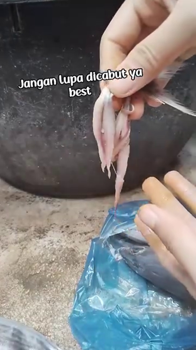 Trik simpel biar ikan tongkol tak amis saat diolah dan tak gatal dikonsumsi, cuma pakai tangan kosong