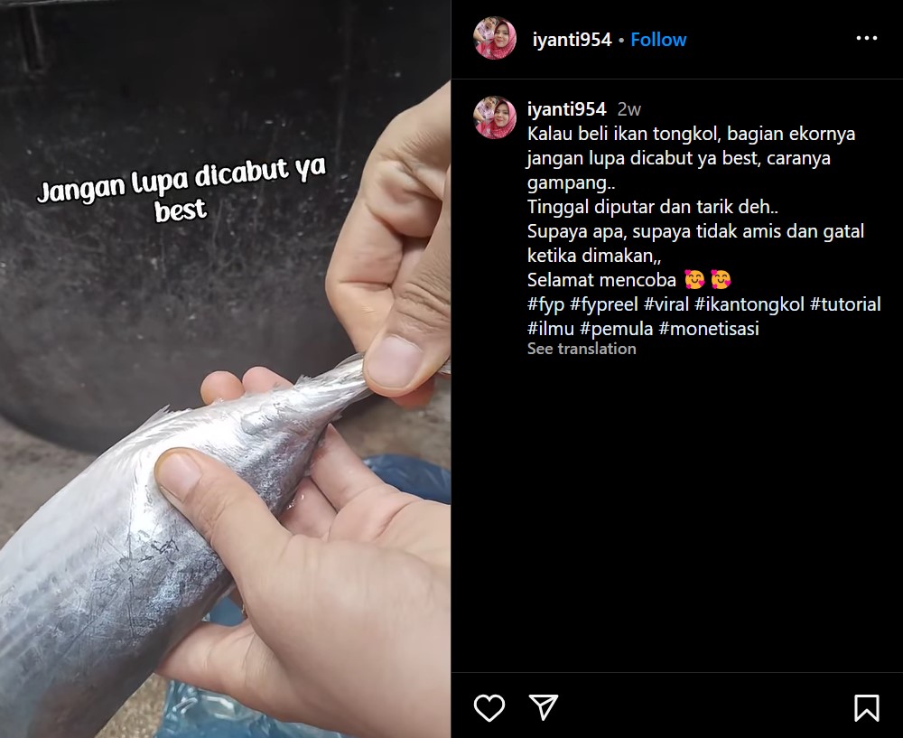 Trik simpel biar ikan tongkol tak amis saat diolah dan tak gatal dikonsumsi, cuma pakai tangan kosong