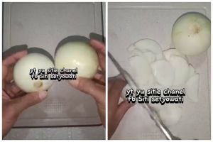 Bukan dibungkus plastik, begini cara simpan bawang bombay agar tak berjamur dan layu hingga 2 minggu