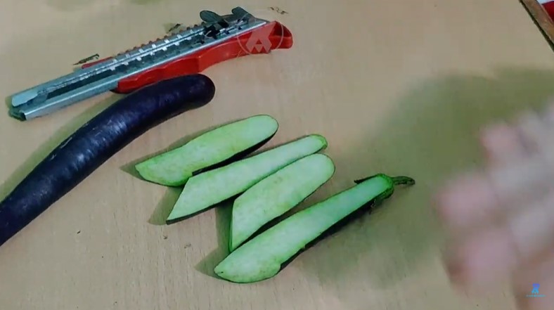 Trik jitu menghilangkan bau pesing di kamar mandi pakai 1 jenis buah, tanpa pewangi dan kapur barus