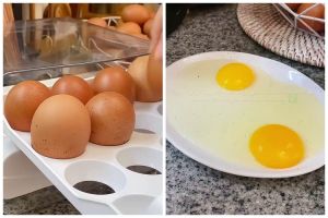 Jangan asal, begini trik memilih telur segar yang bagus dan berkualitas agar bebas kontaminasi jamur