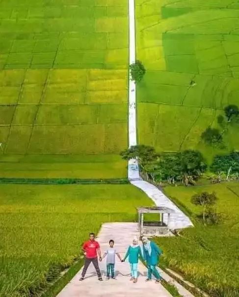 11 Potret lucu penampakan aneh ini bikin lihat dua kali, padahal lagi menikmati pemandangan