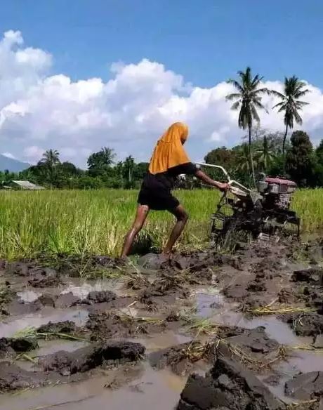 11 Potret lucu penampakan aneh ini bikin lihat dua kali, padahal lagi menikmati pemandangan