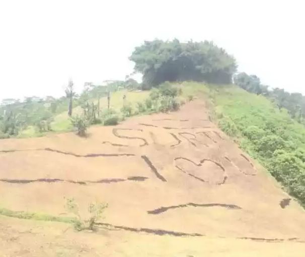 11 Potret lucu penampakan aneh ini bikin lihat dua kali, padahal lagi menikmati pemandangan