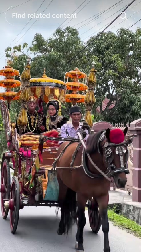 Ingat Surya Manurung pengidap sindrom langka? Kini gelar pesta nikah selang 2 tahun akad, 9 potretnya