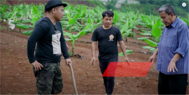 Narji kini tekuni profesi petani, ternyata berawal dari istri beli sawah dari tabungan, ini 5 kisahnya