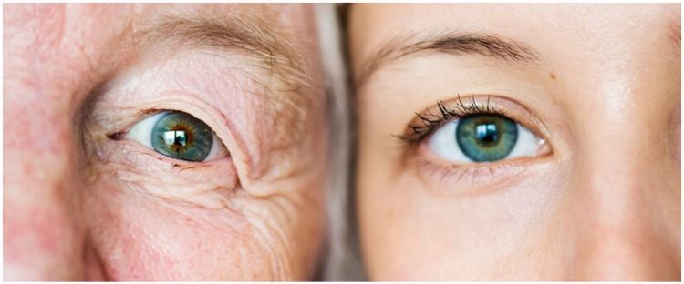 Bantu cegah penuaan, ini cara bikin kulit kencang pakai serum antiaging dari 1 bahan pemanis