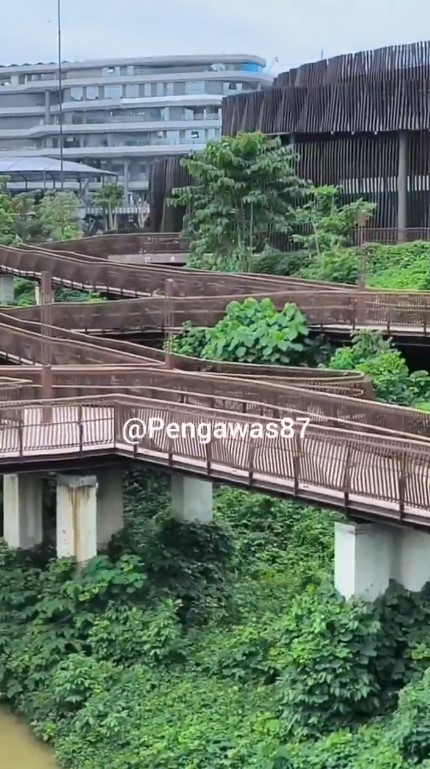 9 Potret kondisi IKN di tengah kabar anggaran diblokir, mangkrak, kini jadi 'rumah' bebek
