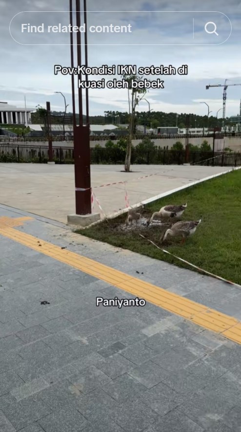 9 Potret kondisi IKN di tengah kabar anggaran diblokir, mangkrak, kini jadi 'rumah' bebek