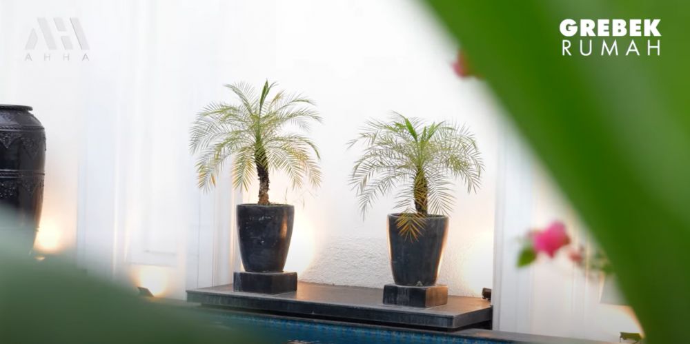 Rumahnya mewah berdiri di samping gang, 11 potret kolam renang Ivan Gunawan ini bak hotel berbintang