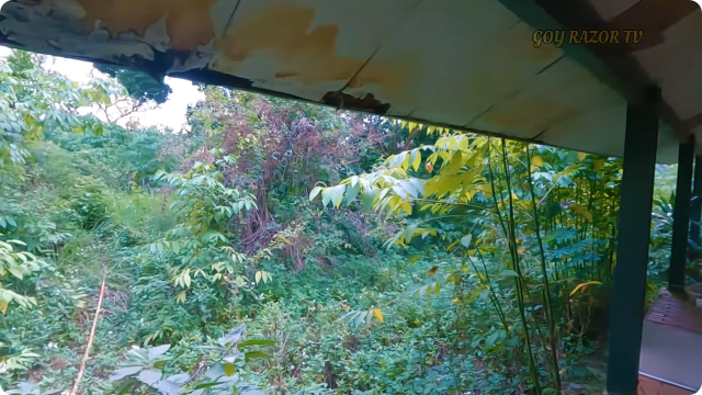 Terbengkalai selama 15 tahun lebih, intip 10 potret rumah Asmuni "Srimulat”, kondisinya memprihatinkan