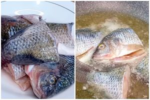 Bau amis ikan nila bikin selera makan hilang? Ini cara ampuh mengatasinya pakai bahan dapur