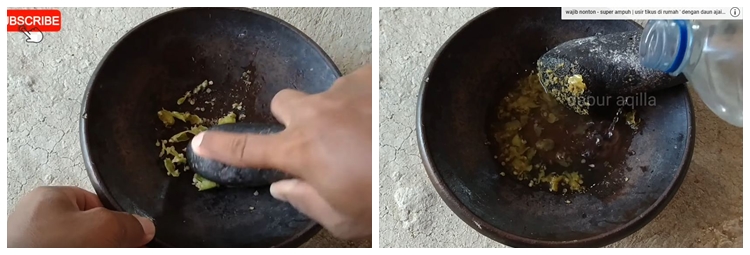 Trik ampuh mencegah tikus masuk ke dapur tanpa bikin perangkap, cuma pakai 1 bahan dapur