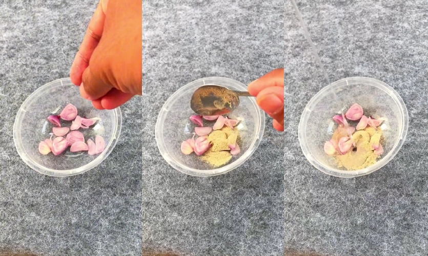 Trik mudah usir tikus di rumah tanpa perangkap, cuma pakai dua bumbu dapur, hewan pengerat auto ngacir