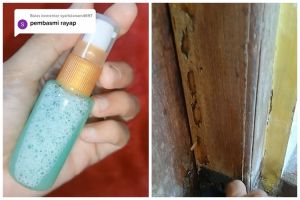 Trik mudah membasmi rayap di pintu dan perabot kayu cuma pakai 2 bahan dapur