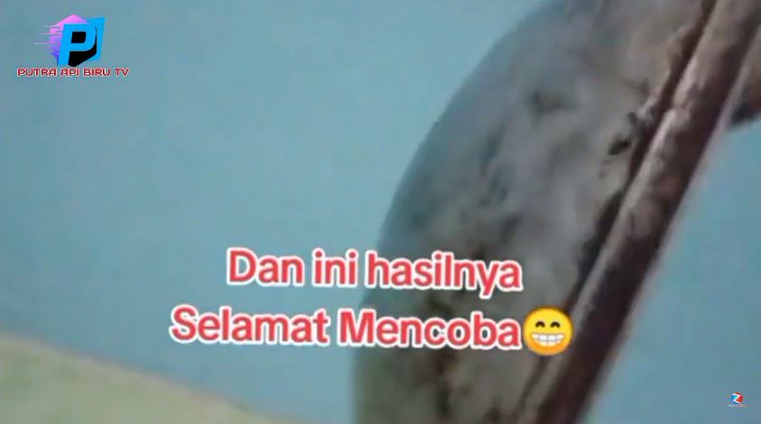 Tanpa baking soda atau sitrun, begini trik hilangkan kerak gosong di pantat wajan pakai 1 bumbu dapur