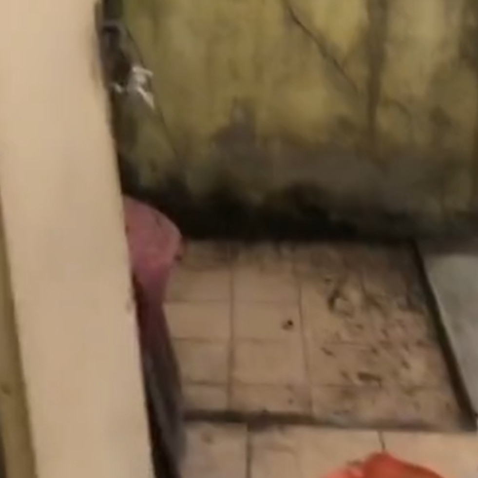 Rumah kumuh dan sempit tak layak huni dimakeover budget Rp50 juta, 10 potret hasilnya gaya open space