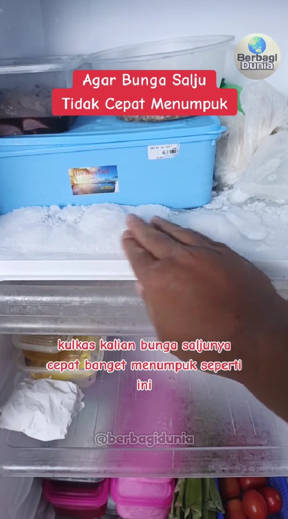 Trik mudah cegah bunga es menumpuk di freezer cuma pakai 1 alat sederhana, kulkas jadi tak cepat rusak