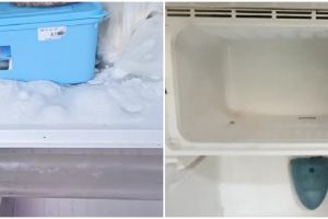 Trik mudah cegah bunga es menumpuk di freezer cuma pakai 1 alat sederhana, kulkas jadi tak cepat rusak