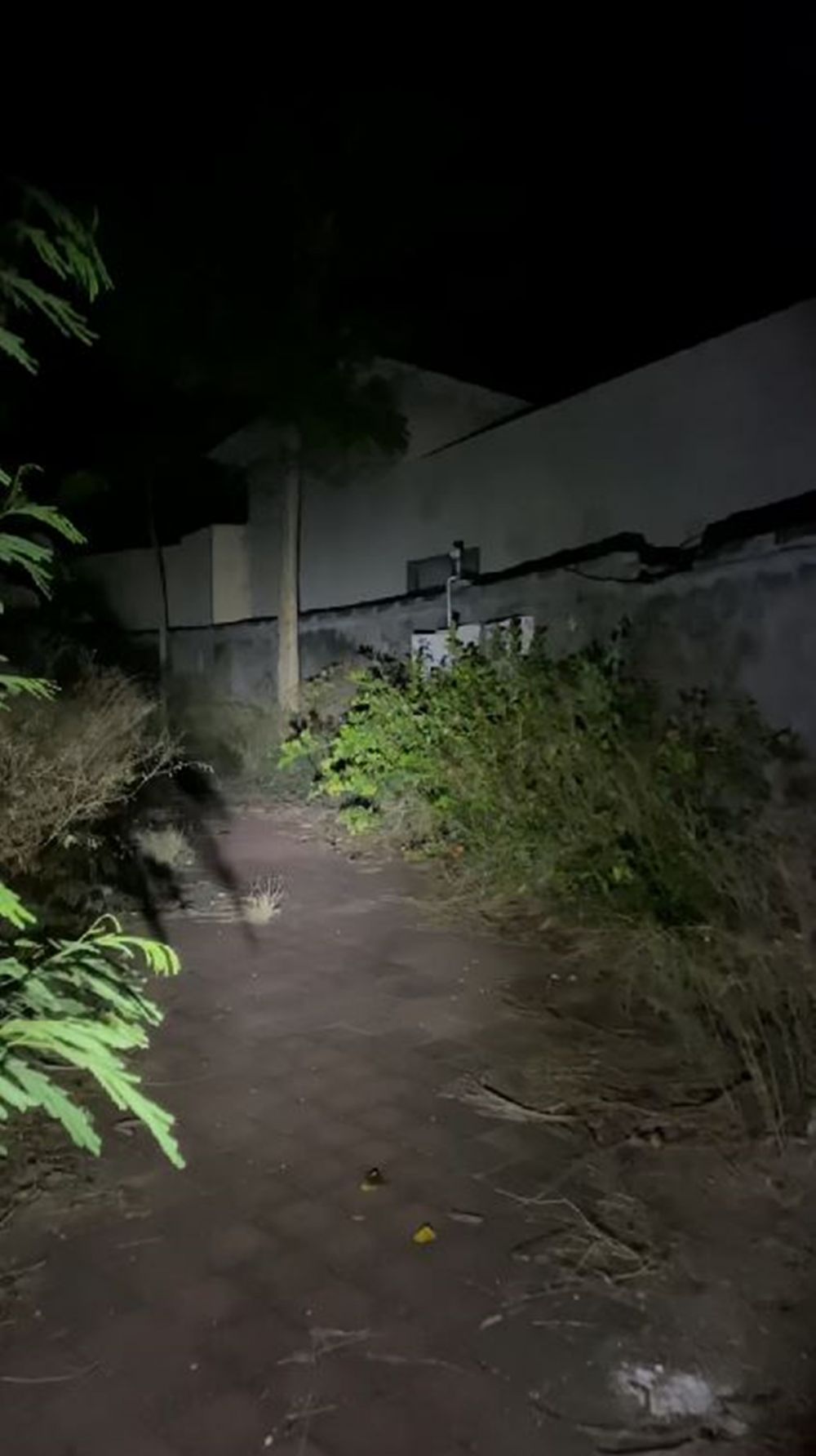 Kondisinya bikin miris bak hunian horor, 9 potret vila diduga milik Kiki Fatmala ini lama mangkrak