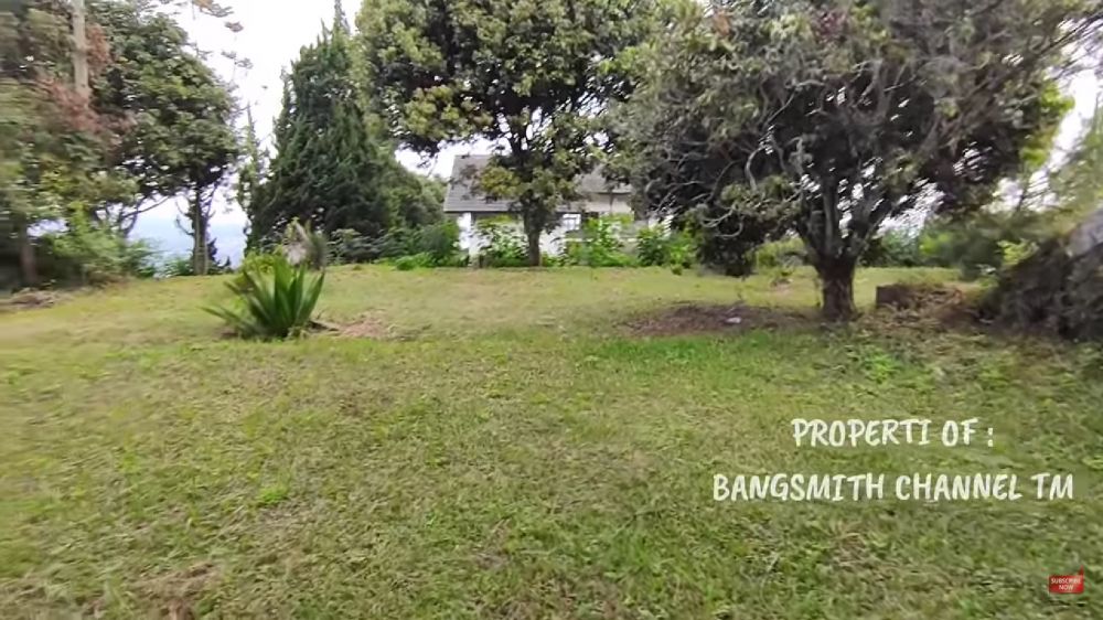 Terbengkalai tak berpenghuni 7 tahun, begini 7 potret rumah bak vila milik Julia Perez di perbukitan