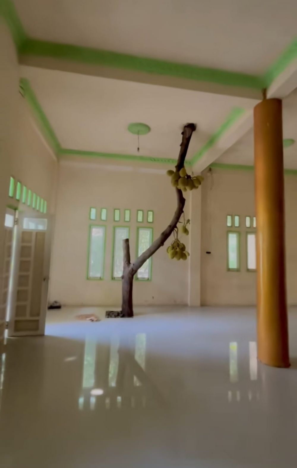 Rumah ini bagian dalamnya aneh ada pohon nangka hidup di ruang tamu, 9 potretnya bikin heran