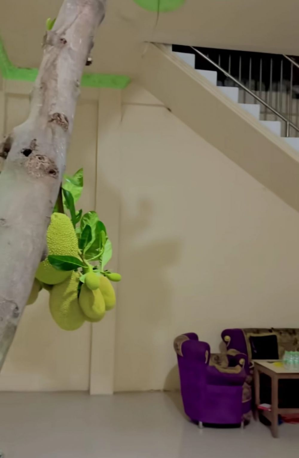 Rumah ini bagian dalamnya aneh ada pohon nangka hidup di ruang tamu, 9 potretnya bikin heran