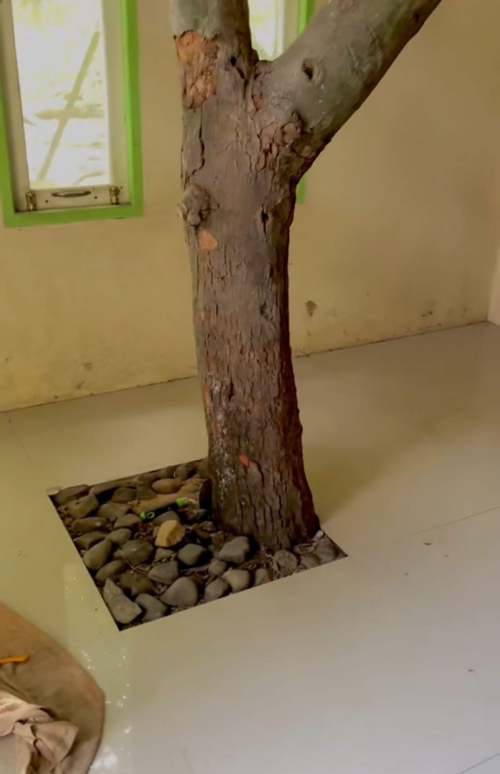 Rumah ini bagian dalamnya aneh ada pohon nangka hidup di ruang tamu, 9 potretnya bikin heran