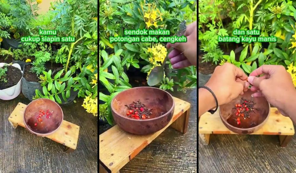 Tanpa pakai bawang merah, begini trik mudah cegah tikus masuk rumah cuma pakai 3 bumbu dapur