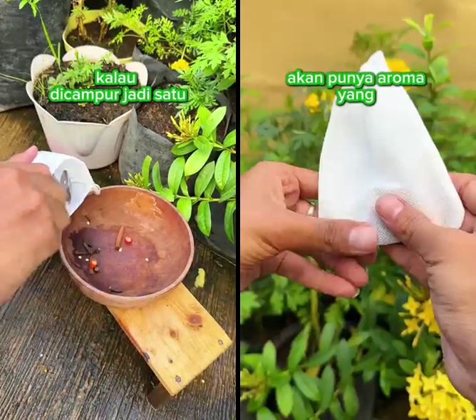Tanpa pakai bawang merah, begini trik mudah cegah tikus masuk rumah cuma pakai 3 bumbu dapur