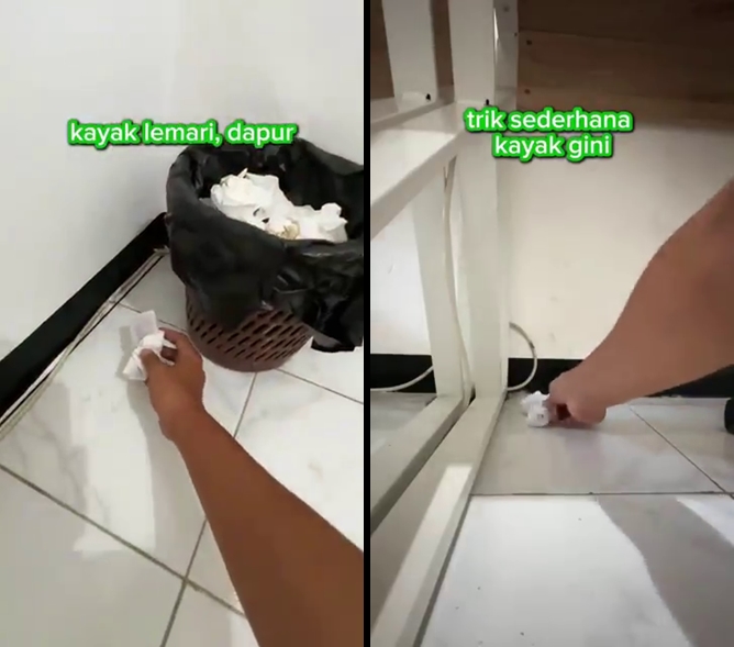 Tanpa pakai bawang merah, begini trik mudah cegah tikus masuk rumah cuma pakai 3 bumbu dapur