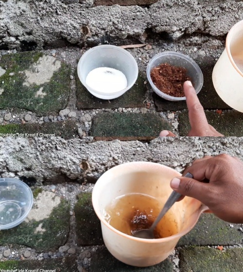 Bukan pakai micin, ini trik cegah perabot kayu di rumah dimakan rayap pakai satu jenis tanaman