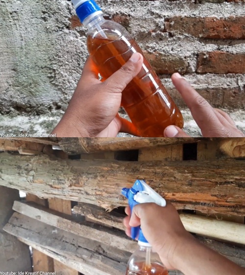 Bukan pakai micin, ini trik cegah perabot kayu di rumah dimakan rayap pakai satu jenis tanaman