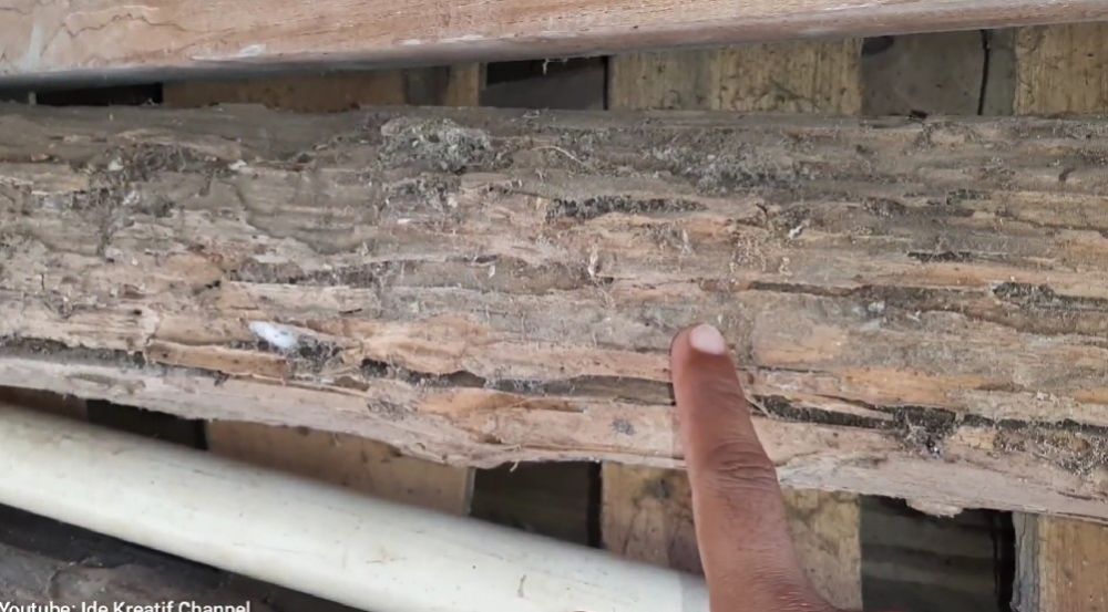 Bukan pakai micin, ini trik cegah perabot kayu di rumah dimakan rayap pakai satu jenis tanaman