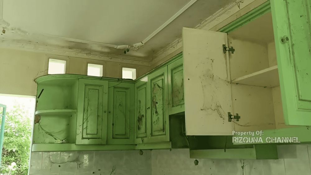 Halaman luas terabaikan bak hutan, 11 potret rumah lawas Maudy Koesnaedi, terakhir dihuni sekitar 2005