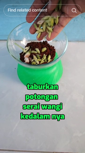 Trik bikin obat nyaman bebas bau menyebar pakai 3 bahan dapur, efektif dan sederhana