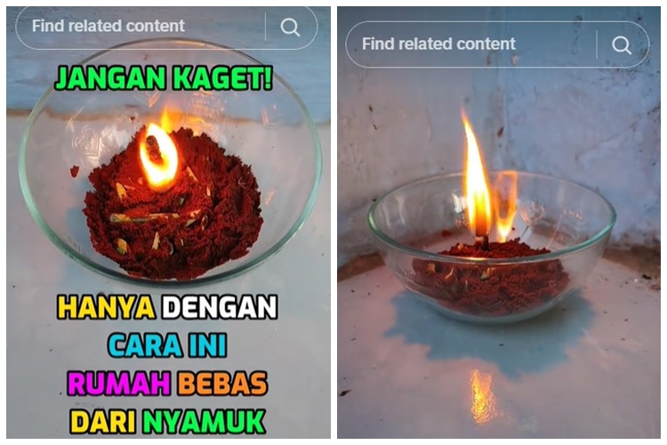 Trik bikin obat nyaman bebas bau menyebar pakai 3 bahan dapur, efektif dan sederhana